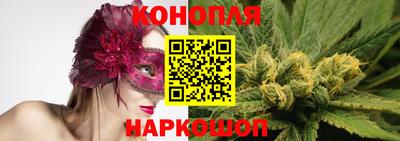 спиды Кинель