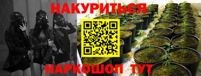 дживик Кингисепп