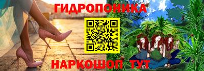 спиды Кинель