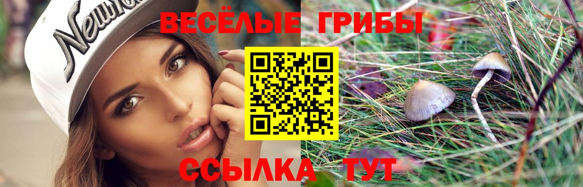 Галлюциногенные грибы Magic Shrooms Будённовск